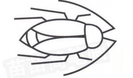 蟑螂漫画,揭示都市生活的另类视角